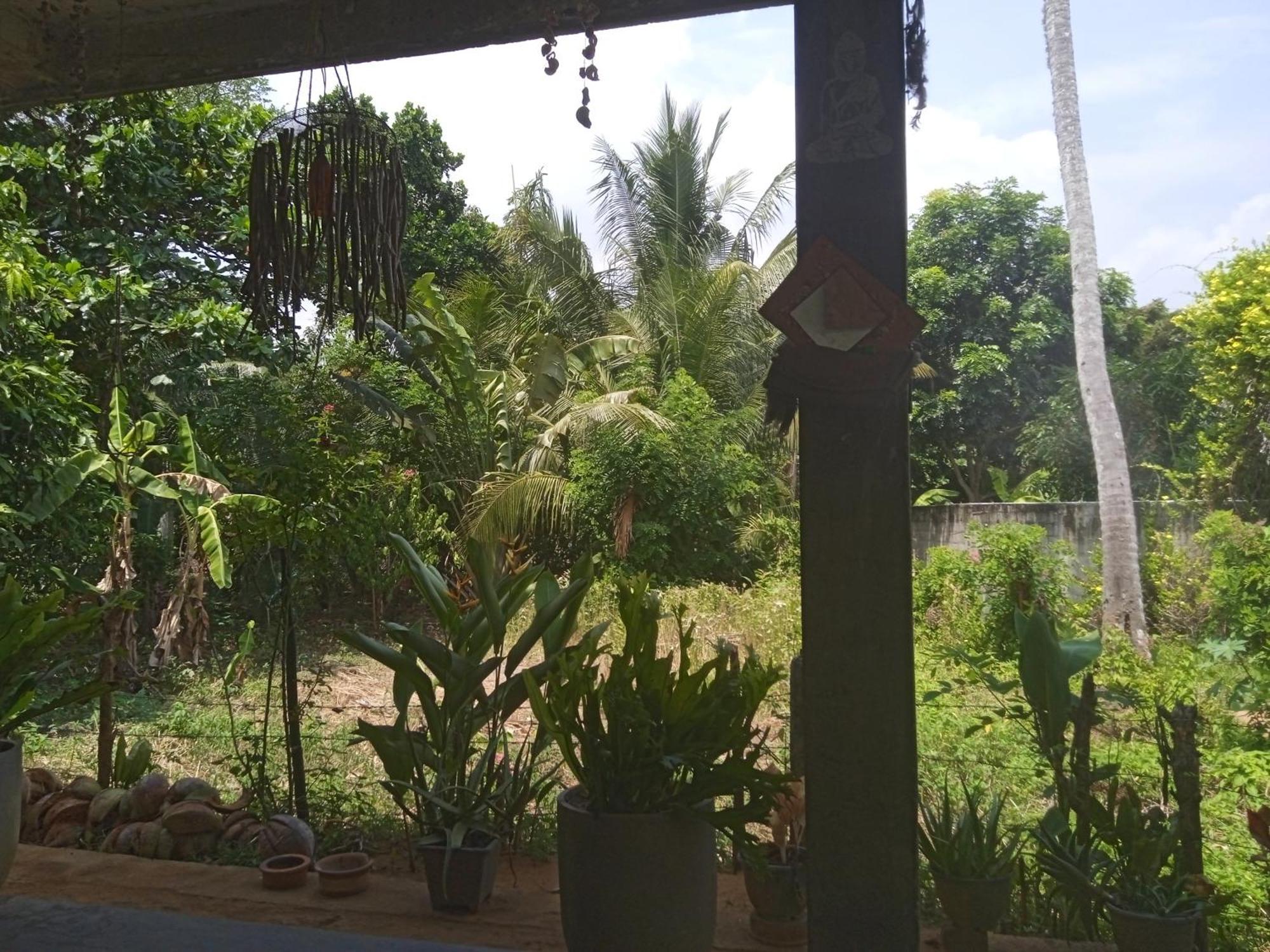 Julianu Hotel Tangalle Luaran gambar