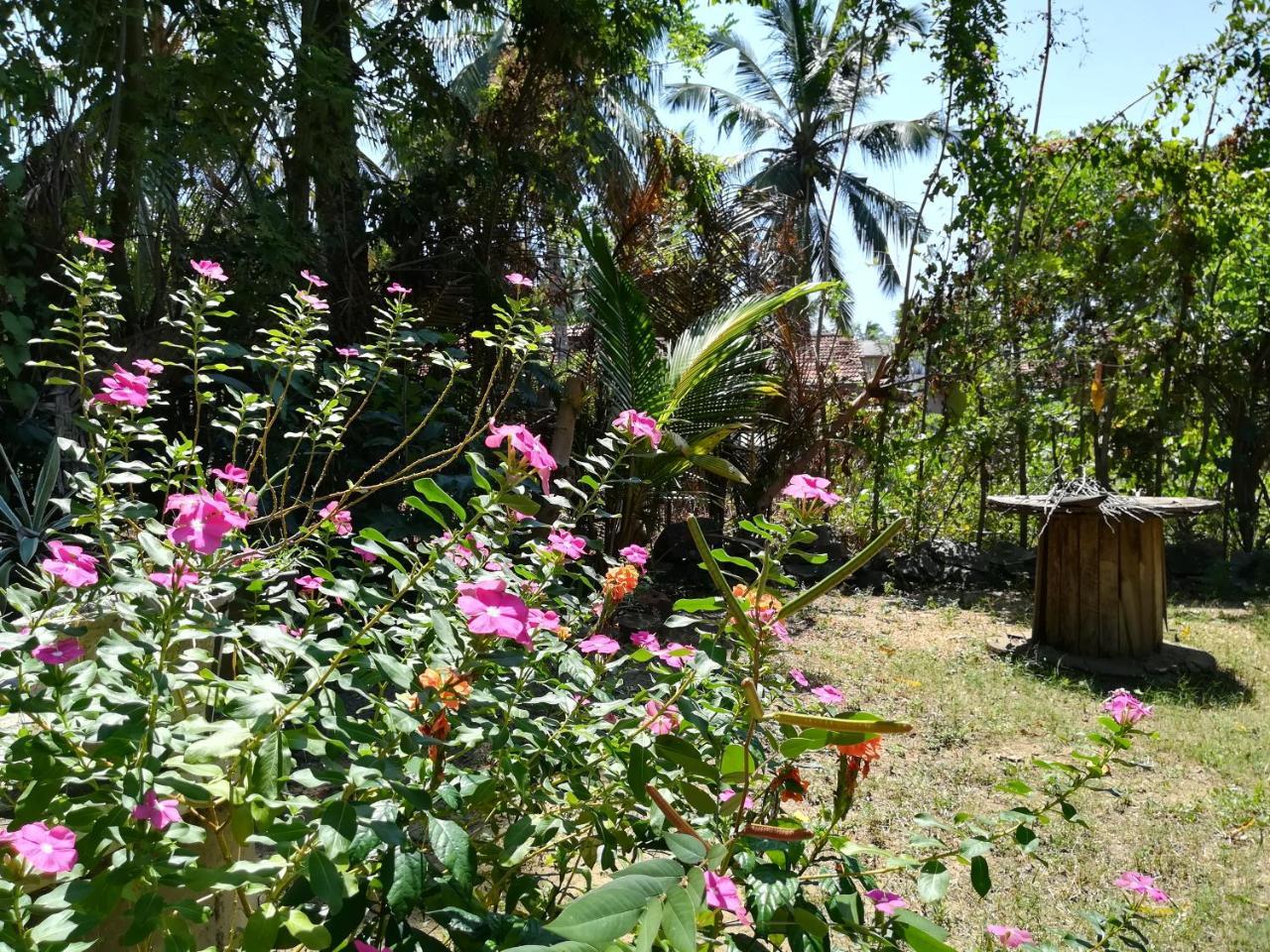 Julianu Hotel Tangalle Luaran gambar
