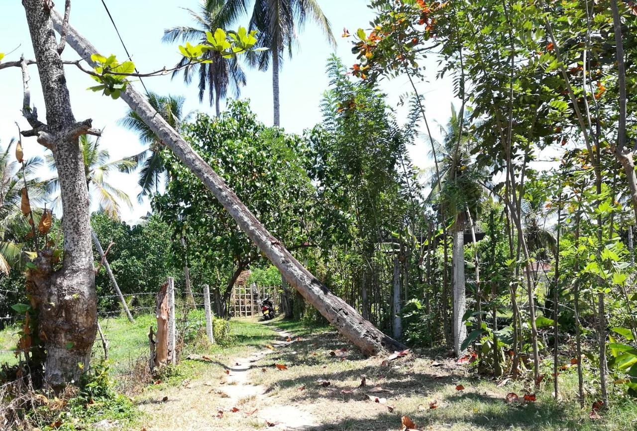 Julianu Hotel Tangalle Luaran gambar